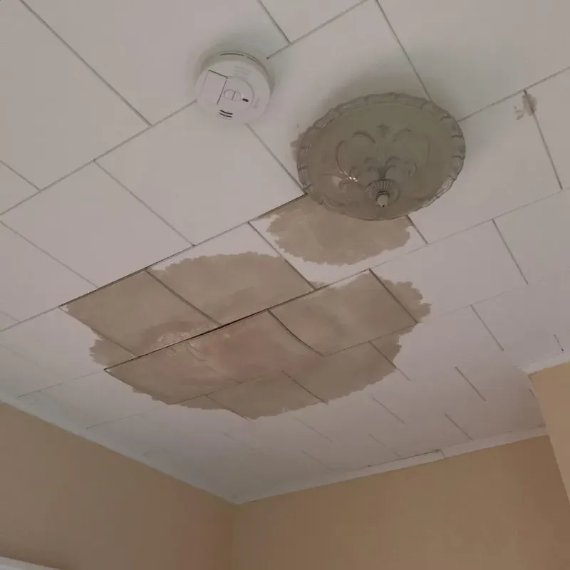 Ceiling Water Damage Repair in Ninnekah, OK