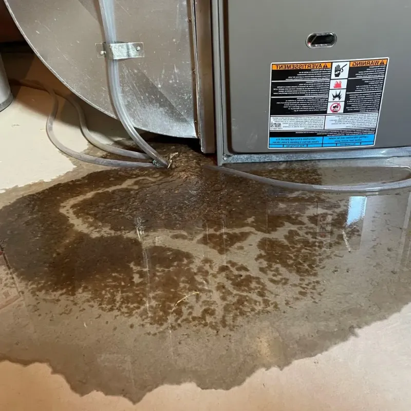 Pipe Burst and Leak Restoration in Ninnekah, OK